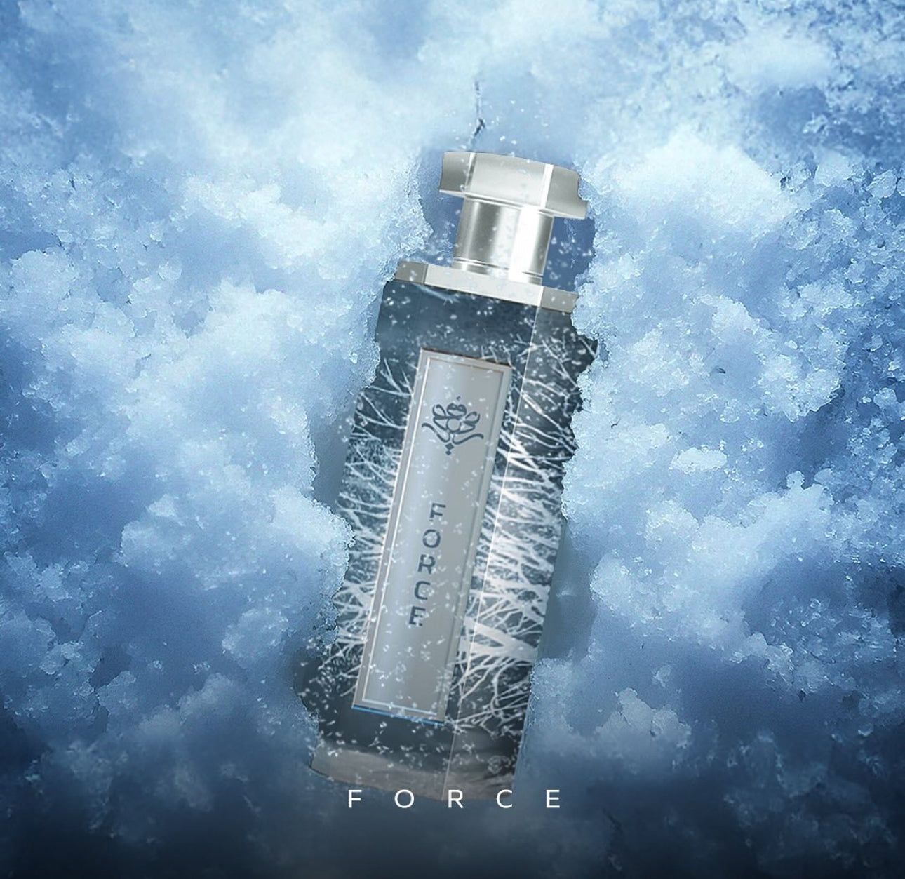 Force